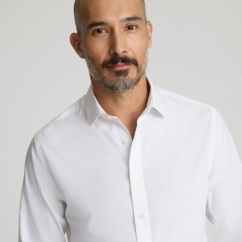 Wrinkle-Free Stretch Cotton Arden Shirt