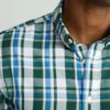Wrinkle-Free Caldwell Shirt