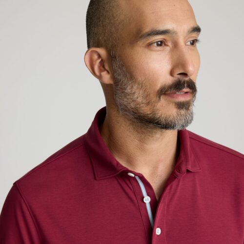 Wrinkle-Free Damaschino Long-Sleeve Polo - FINAL S