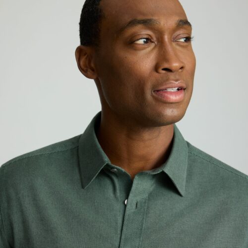 Wrinkle-Free Veneto Shirt