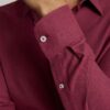 Wrinkle-Free Veneto Shirt